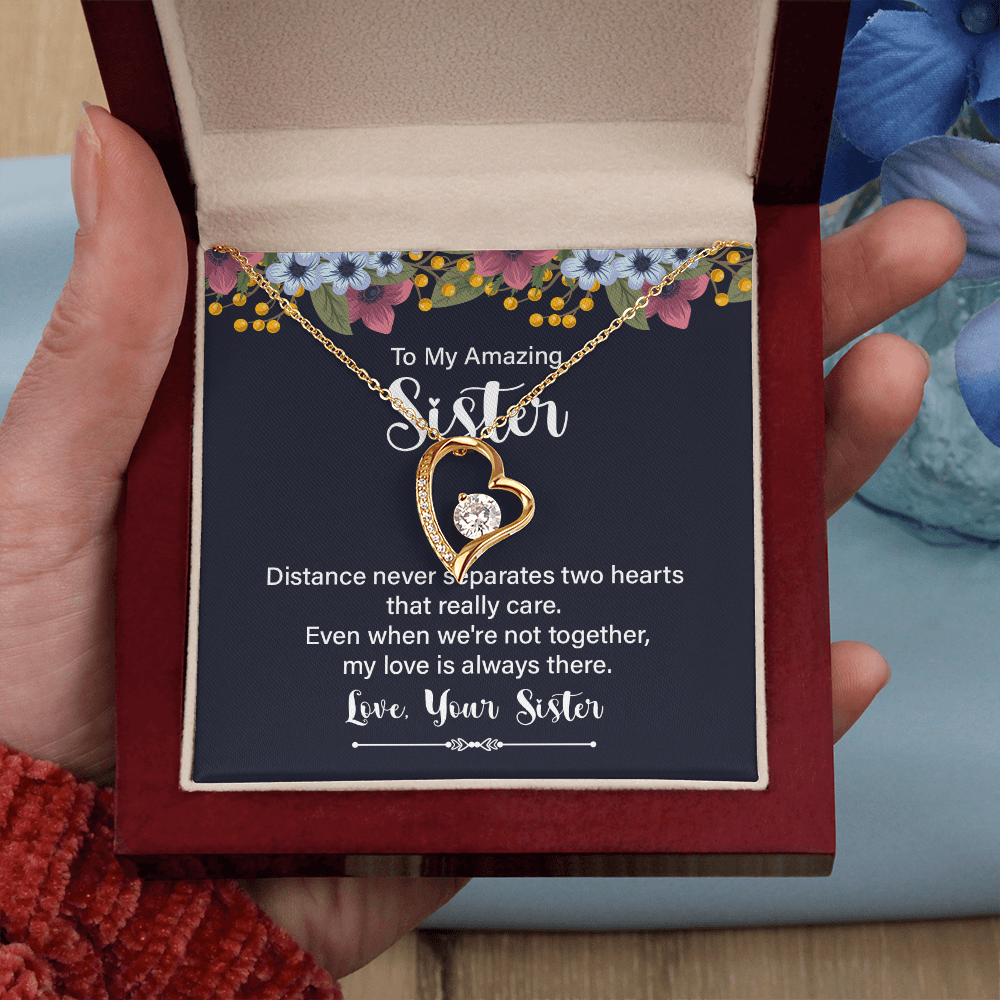 Forever Love Necklace:To My Amazing Sister Distance Never Separates