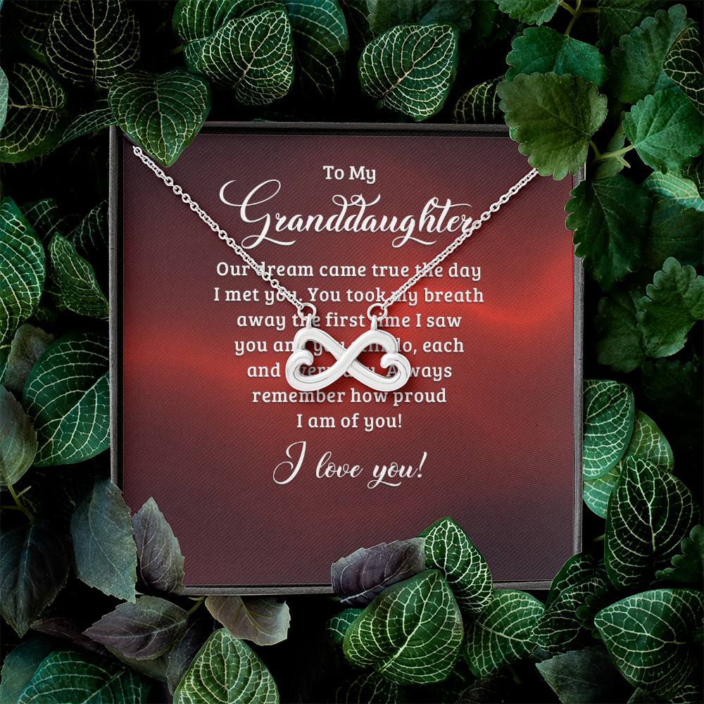 Endless Love Necklace:To My Granddaughter