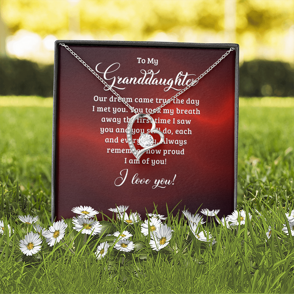 Forever Love Necklace:To My Granddaughter