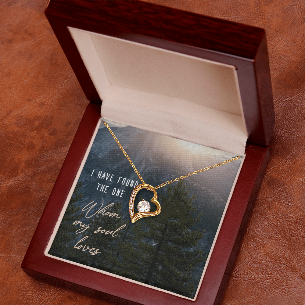 Forever Love Necklace:I Have Found The One