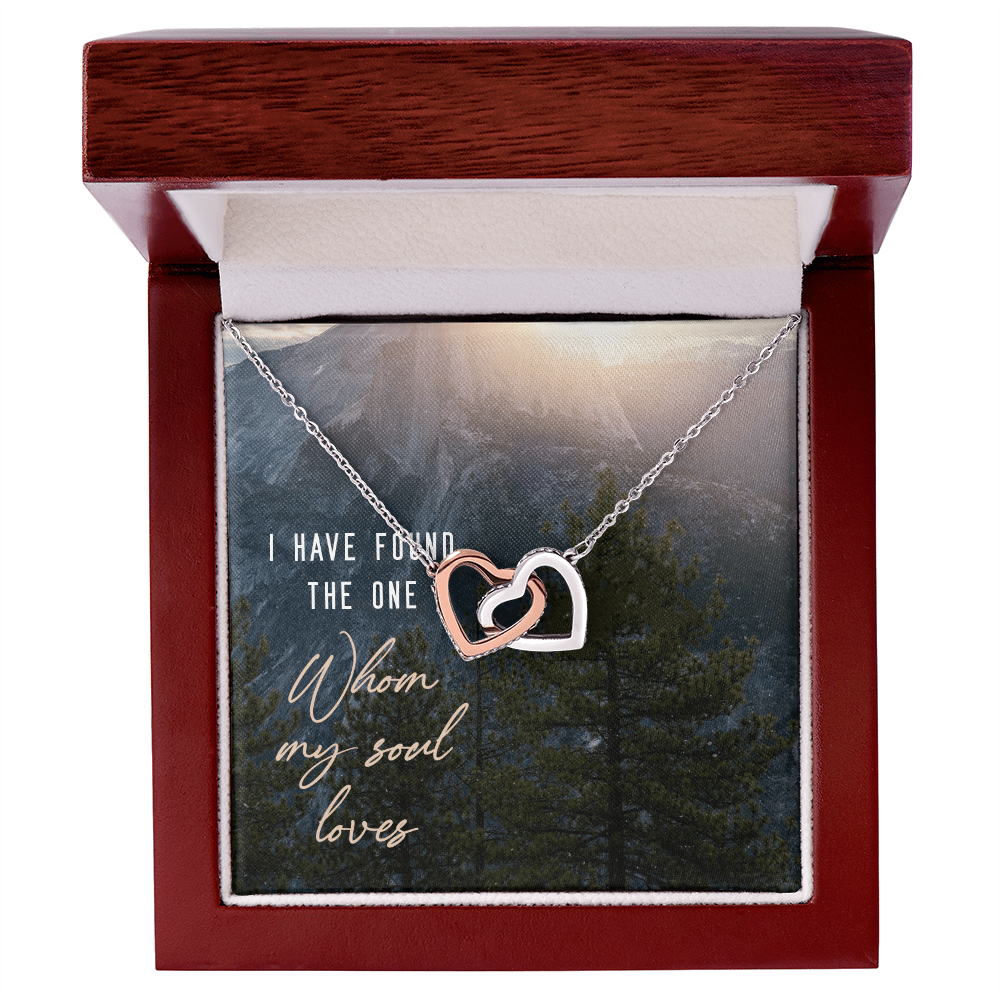 Interlocking Hearts Necklace :I Have Found The One